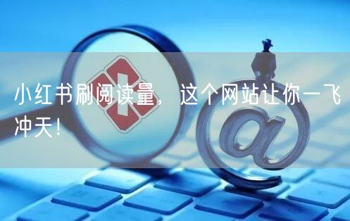小红书刷阅读量，这个网站让你一飞冲天！