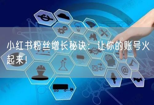 小红书粉丝增长秘诀：让你的账号火起来！