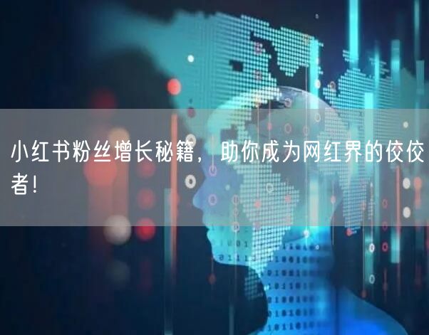 小红书粉丝增长秘籍，助你成为网红界的佼佼者！