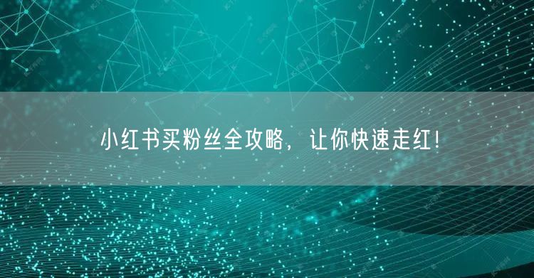 小红书买粉丝全攻略，让你快速走红！