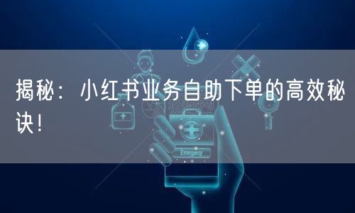 揭秘：小红书业务自助下单的高效秘诀！