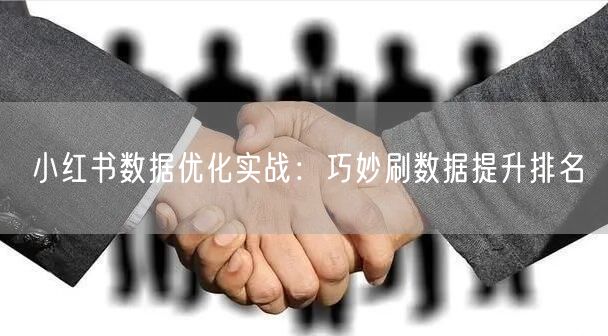 小红书数据优化实战：巧妙刷数据提升排名