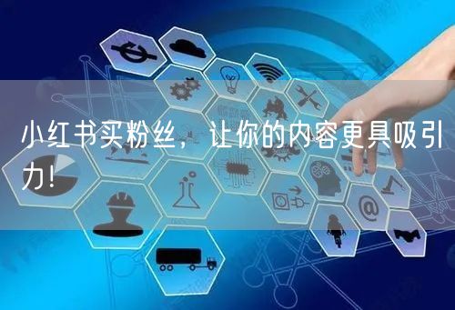 小红书买粉丝，让你的内容更具吸引力！