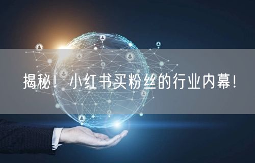 揭秘！小红书买粉丝的行业内幕！
