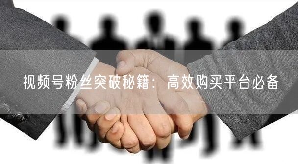 视频号粉丝突破秘籍:高效购买平台必备