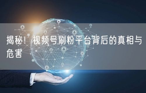揭秘!视频号刷粉平台背后的真相与危害