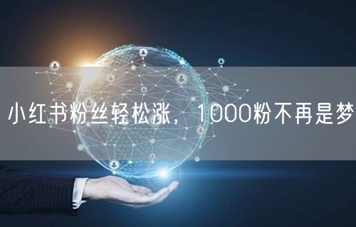 小红书粉丝轻松涨，1000粉不再是梦
