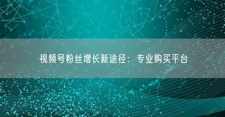 视频号粉丝增长新途径：专业购买平台