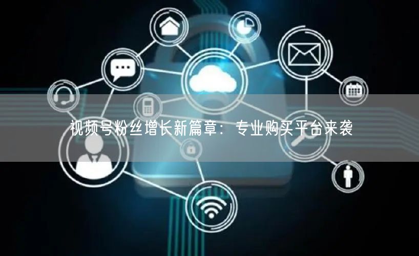 视频号粉丝增长新篇章：专业购买平台来袭