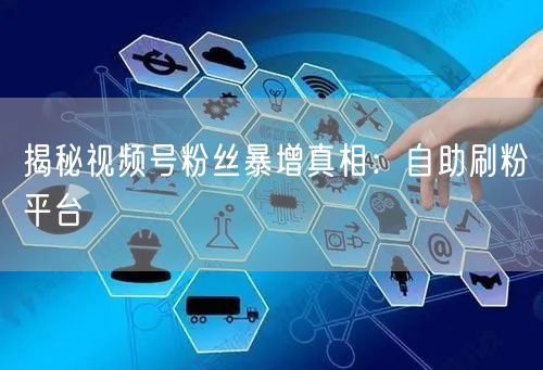 揭秘视频号粉丝暴增真相：自助刷粉平台
