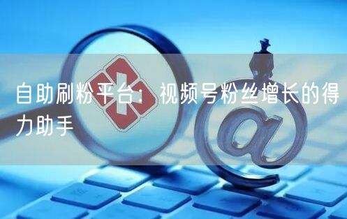 自助刷粉平台：视频号粉丝增长的得力助手