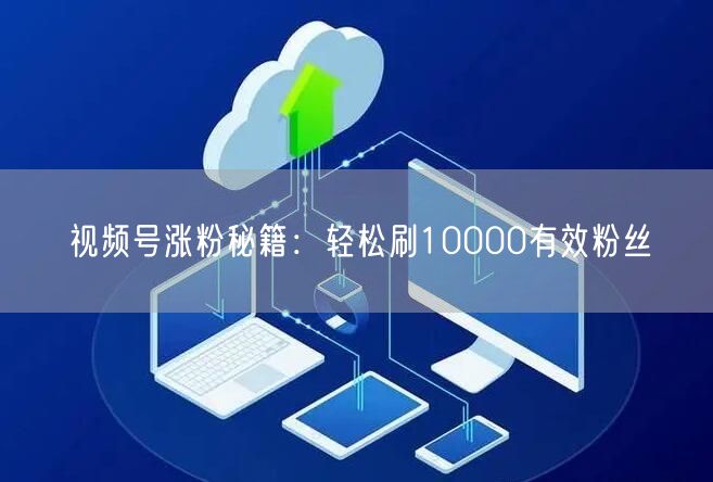 视频号涨粉秘籍：轻松刷10000有效粉丝
