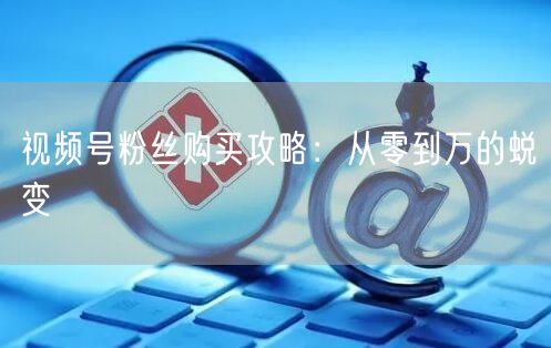 视频号粉丝购买攻略：从零到万的蜕变