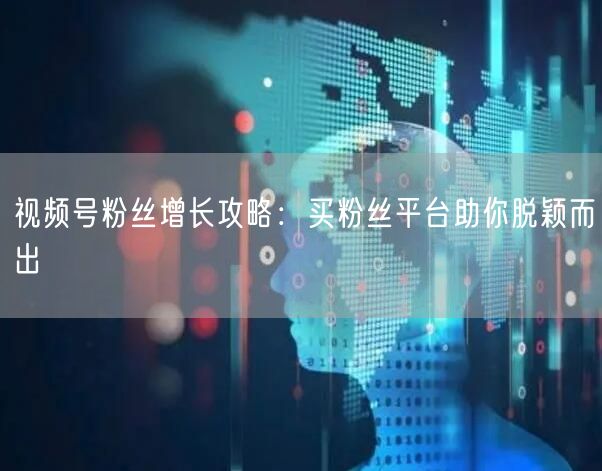 视频号粉丝增长攻略：买粉丝平台助你脱颖而出