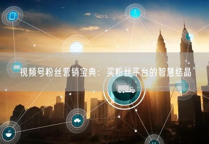 视频号粉丝营销宝典：买粉丝平台的智慧结晶