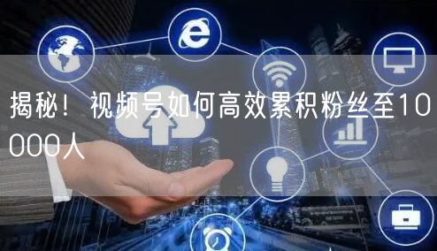 揭秘！视频号如何高效累积粉丝至10000人