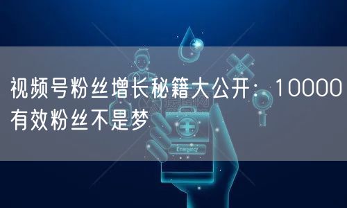 视频号粉丝增长秘籍大公开:10000有效粉丝不是梦
