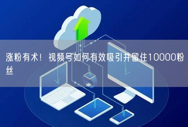 涨粉有术!视频号如何有效吸引并留住10000粉丝