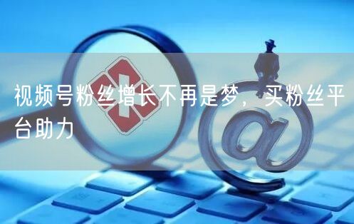 视频号粉丝增长不再是梦，买粉丝平台助力