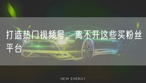 打造热门视频号,离不开这些买粉丝平台