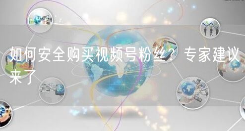 如何安全购买视频号粉丝？专家建议来了