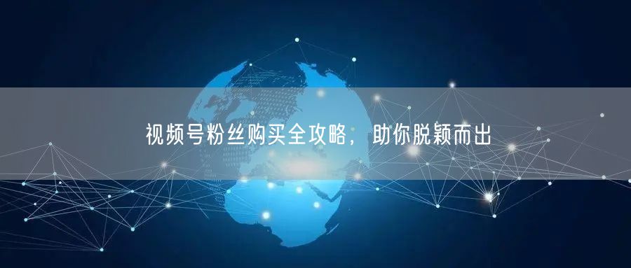 视频号粉丝购买全攻略,助你脱颖而出