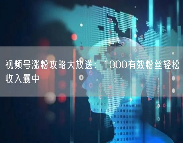 视频号涨粉攻略大放送：1000有效粉丝轻松收入囊中