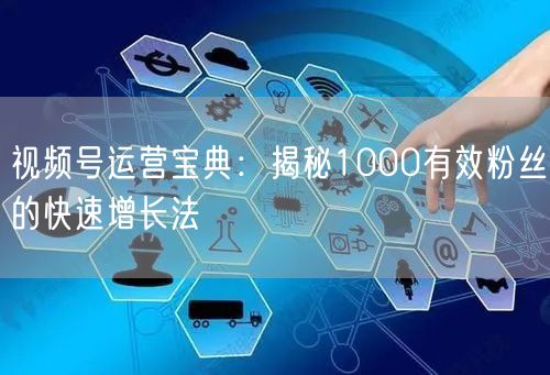 视频号运营宝典:揭秘1000有效粉丝的快速增长法