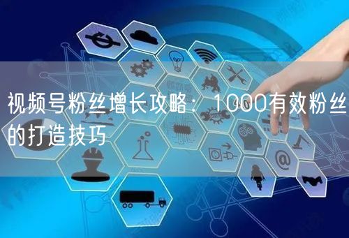 视频号粉丝增长攻略:1000有效粉丝的打造技巧