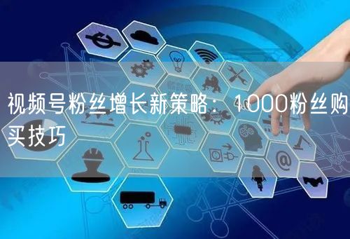 视频号粉丝增长新策略：1000粉丝购买技巧