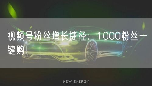 视频号粉丝增长捷径：1000粉丝一键购！