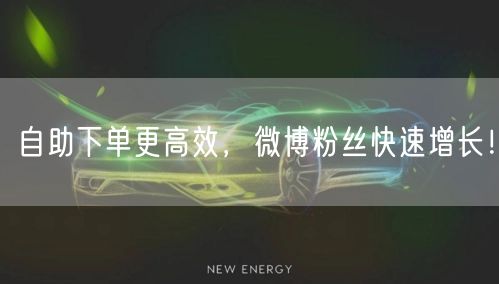 自助下单更高效，微博粉丝快速增长！